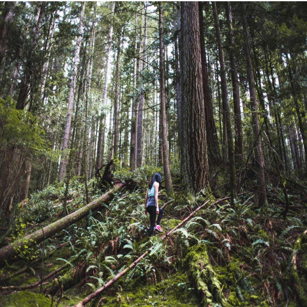 merrell moab fst low